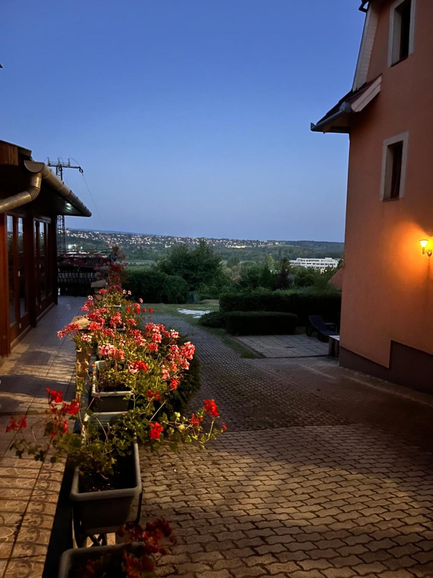 Fonix Wellness Panzio Heviz Bed & Breakfast Bagian luar foto